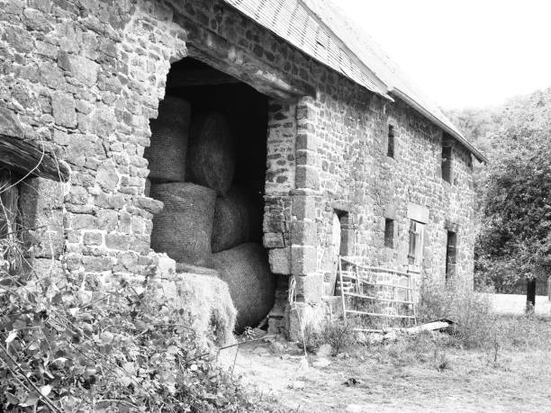 istock Old Hay Barn With Visible Round Bales 1571410369