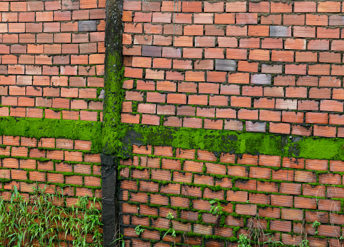 Mossy brick wall, Mang Thit Ancient Brick Village is located along the Co Chien River, Mekong Delta, Vinh Long Province