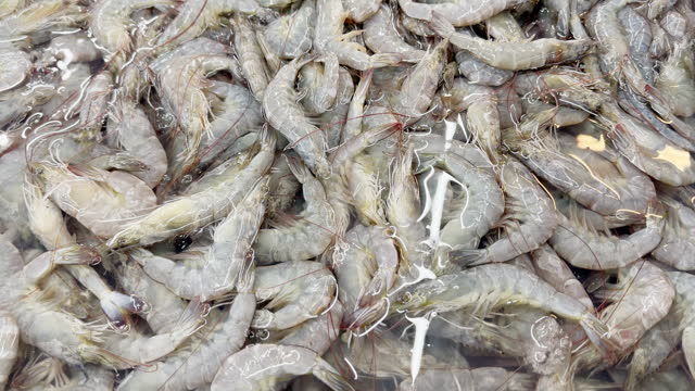 Fresh shrimp in supermarket