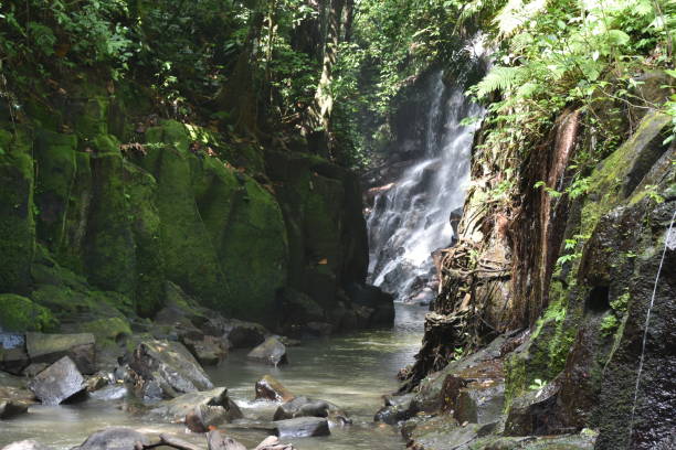 Long Shot of Kanto Lampo Waterfall through Rainforest Canyon stock photo