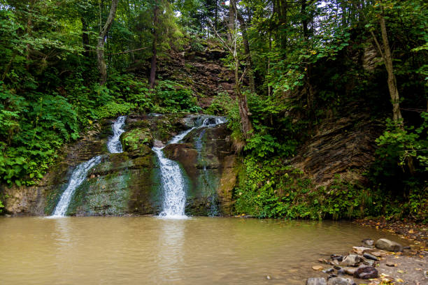 istock Forest waterfalls in the mountains 1571427110