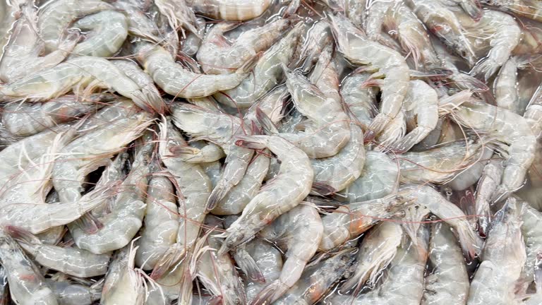 Fresh shrimp in supermarket