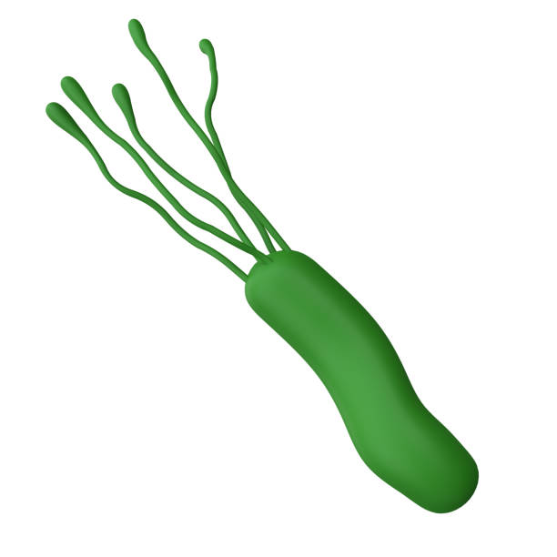 Helicobacter pylori bacteria 3d render realistic medicine icon for  isolated with clipping path. Microbiology health human illustration.