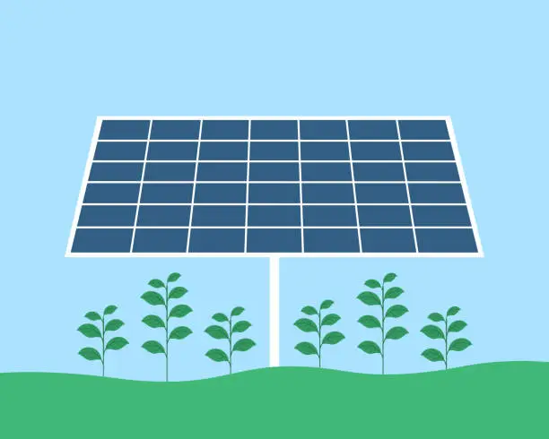 Vector illustration of Agrivoltaic System With Solar Panels And Food Crops