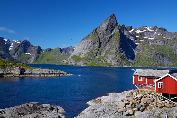 istock Fjord on Lofoten islands 157145021