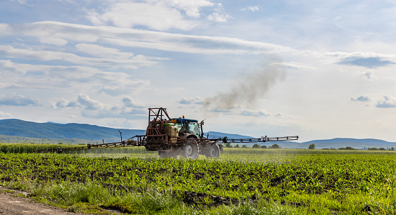 Tractor spraying pesticides on corn field with sprayer at spring