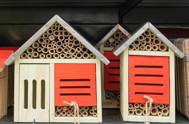 istock Insect House, Bug Hotel, Insect Winter Shelter 1571513608