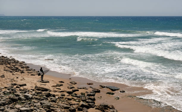 istock Surfer with his surfboard standing at the beach 1571520635