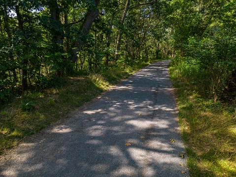 A scenic view of a pathway in a green park on a sunny day