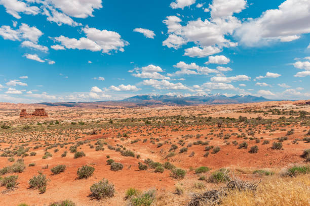 Beautiful Natural Background with Wild Desert and La Sal Mountains in a Distance in Arches National Park, Moab, Utah, United States. Blue Sky with White Clouds and Orange Ground with Bushes