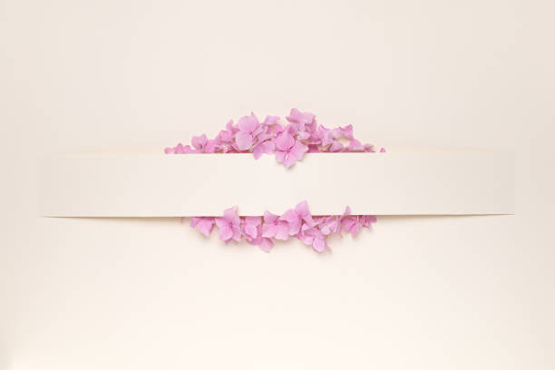 istock Creative layout made with flowers and paper tape for text on bright beige background. 1571549764
