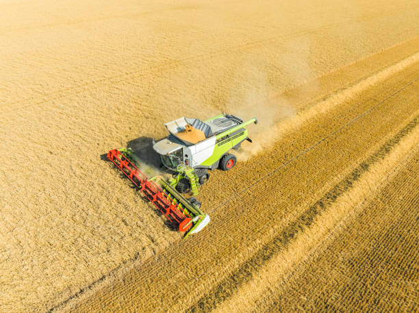 istock Combine harverster harvesting wheat during summer seen from above 1571551934