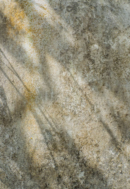 istock Texture surface of old cement wall. Close-up 1571554740