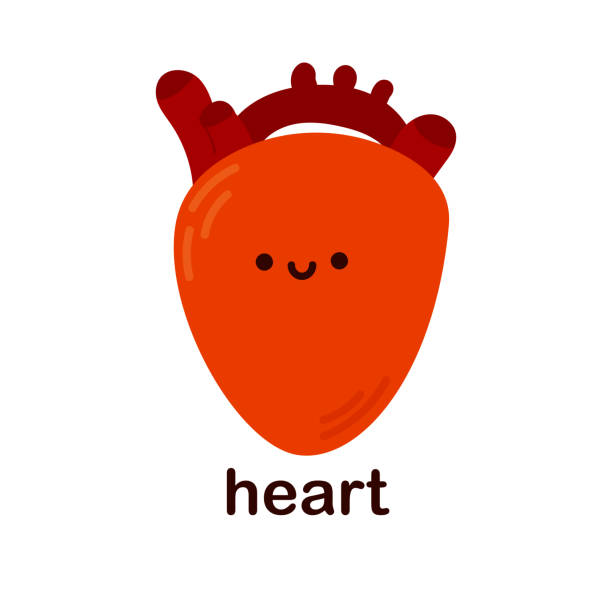 kawaii herz - human cardiovascular system heart shape human hand healthy lifestyle stock-grafiken, -clipart, -cartoons und -symbole