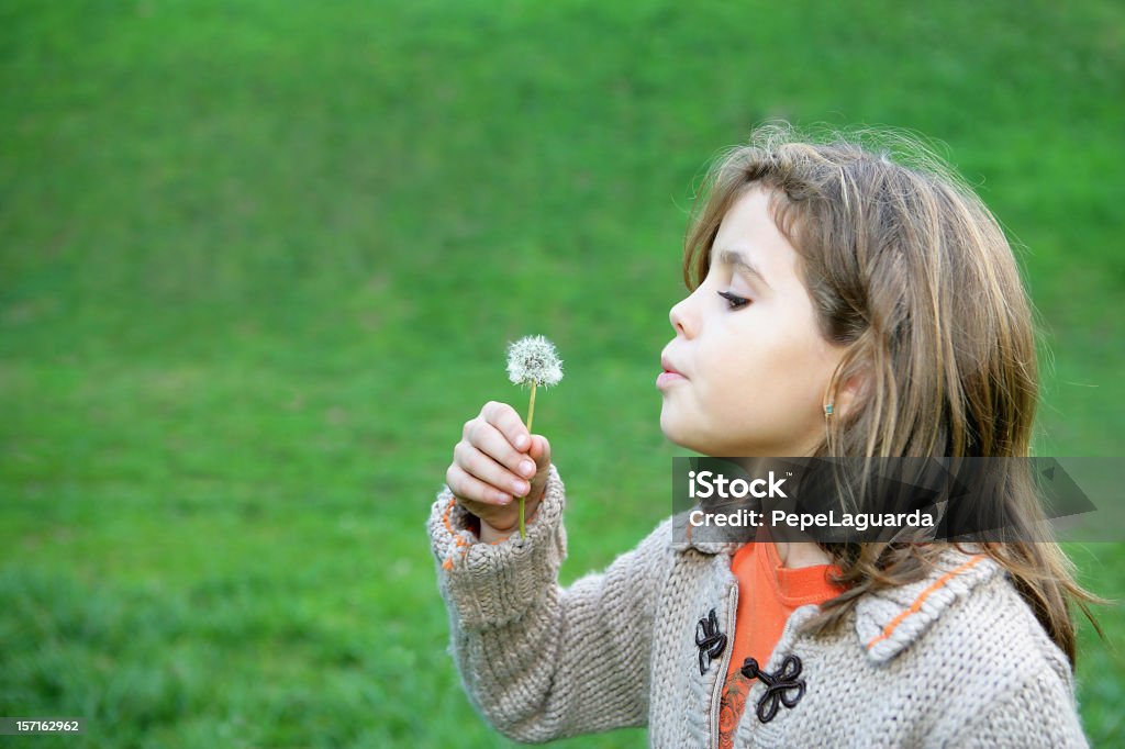 Fazer um desejo! - Royalty-free Criança Foto de stock