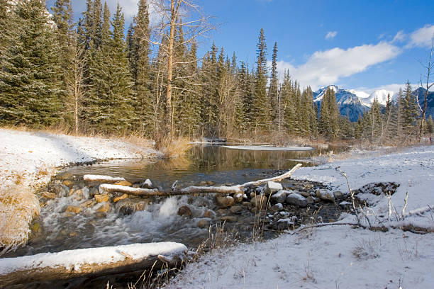 istock Mountain Creek in Winter 157163261