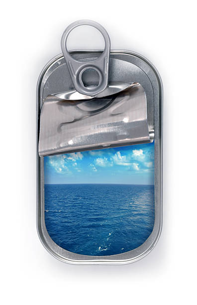 canned ocean
