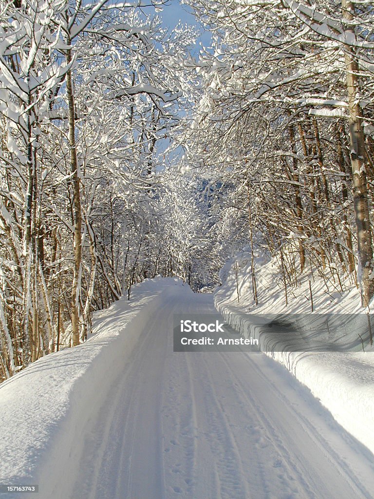 아름다운 겨울맞이 road - 로열티 프리 거리 스톡 사진