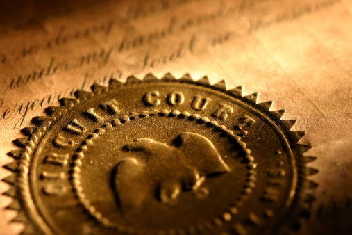 Golden circuit court seal.  Shallow focus on the word court.