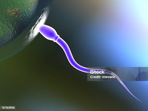 Начало Жизни — стоковые фотографии и другие картинки Сперма - Сперма, Яйцеклетка, Ребёнок