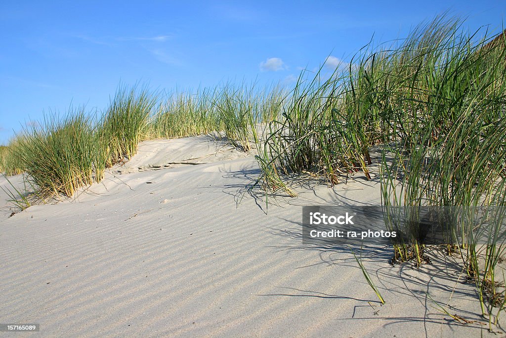 Sand dunes - Lizenzfrei Atlantik Stock-Foto