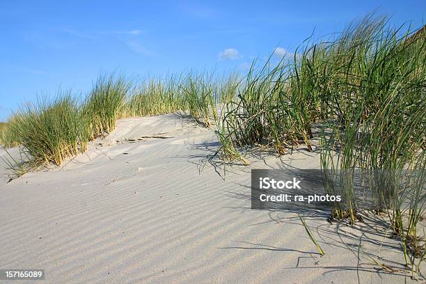 Dune Di Sabbia - Fotografie stock e altre immagini di Acqua - Acqua, Ambientazione esterna, Ambientazione tranquilla