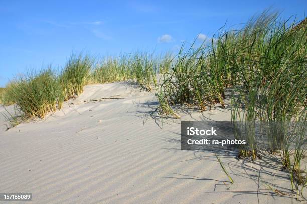 Dunas De Areia - Fotografias de stock e mais imagens de Ao Ar Livre - Ao Ar Livre, Areia, Caniço