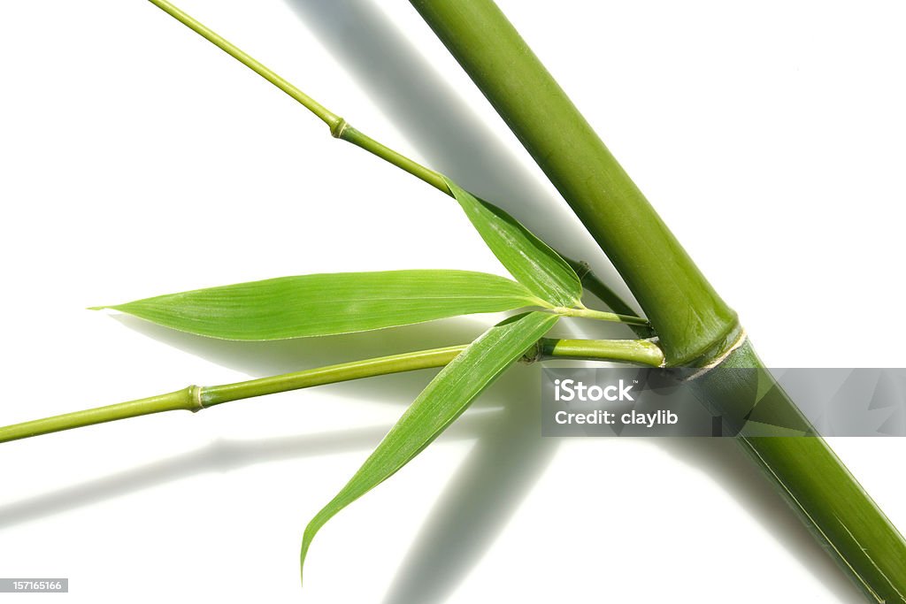 Tło bambusa 2, puste - Zbiór zdjęć royalty-free (Nowoczesny)