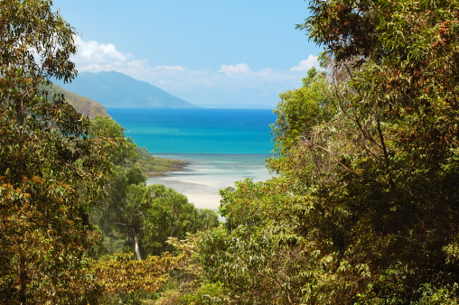 The Daintree National Park, Queensland/Australia. View towards Cape Tribulation and the Stingray Beach.