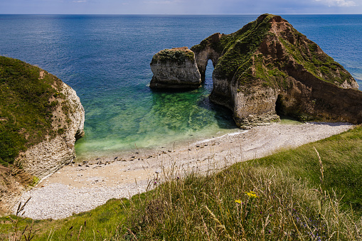 The large rock formation off the cliffs of Flamborough Head looks like a drinking dinosaur. On the rocky beach next to it is a large colony of seals.