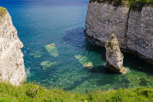 View from the clifftop - a cove with a seastack close to Flamborough Head. This stunning coastline is home to thousands of seabirds who make their nest on the chalk cliffs.