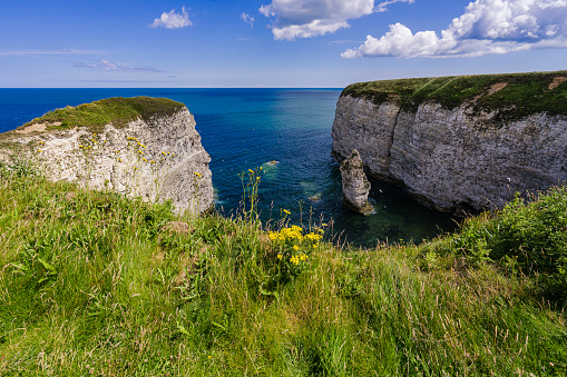 View from the clifftop - a bay and seastack close to Flamborough Head. This stunning coastline is home to thousands of seabirds who make their nest on the chalk cliffs.