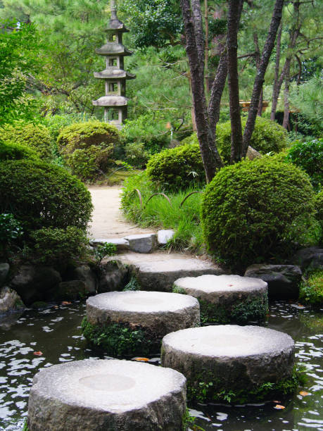 Beautiful Japanese garden with trees in full fall colors
