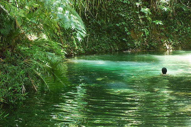 Swimming in the Jungle Woman swimming in a water hole in the jungle (Daintree/National Park, Queensland/Australia). port douglas photos stock pictures, royalty-free photos & images