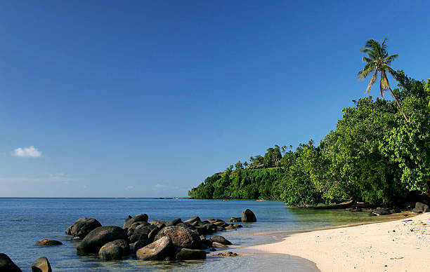 istock Beautiful Fiji Beach 157165694