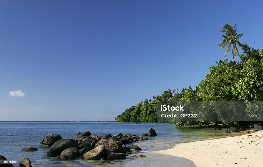 Beautiful Fiji Beach  Taveuni Stock Photo