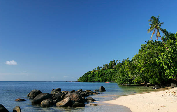 Beautiful Fiji Beach  taveuni stock pictures, royalty-free photos & images