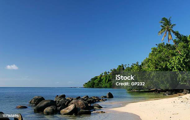Beautiful Fiji Beach Stock Photo - Download Image Now - Taveuni, Fiji, Beach