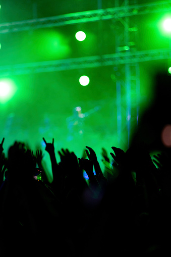 Silhouette of crowd of people on a music festival at night.