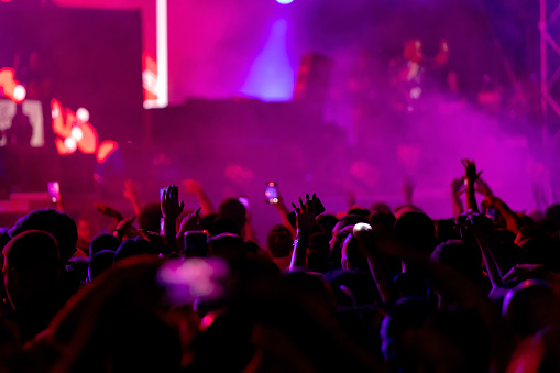 Crowd of people having fun during a music festival at night.