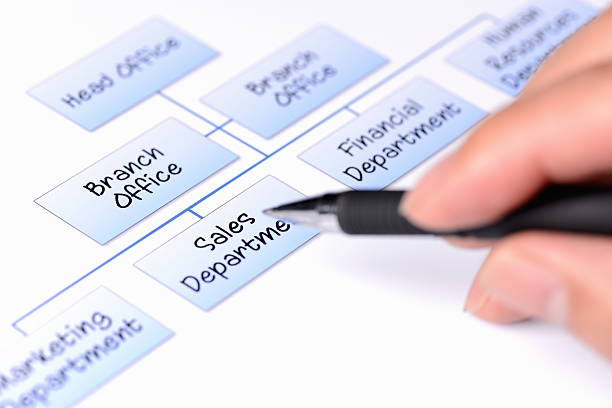 istock The main organizational structure of a company 157167897