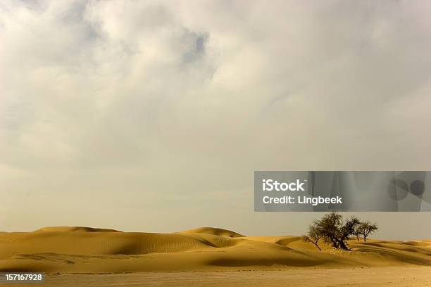 Desierto Árbol Y Nubes Foto de stock y más banco de imágenes de Desierto - Desierto, Dubái, Nube