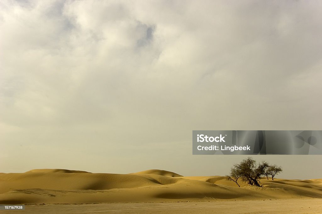 Пустыня дерева и облака - Стоковые фото Пустыня роялти-фри