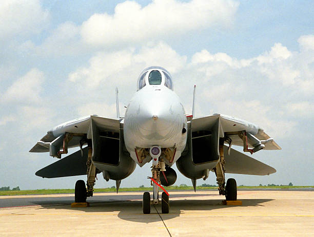F14 Tomcat stock photo