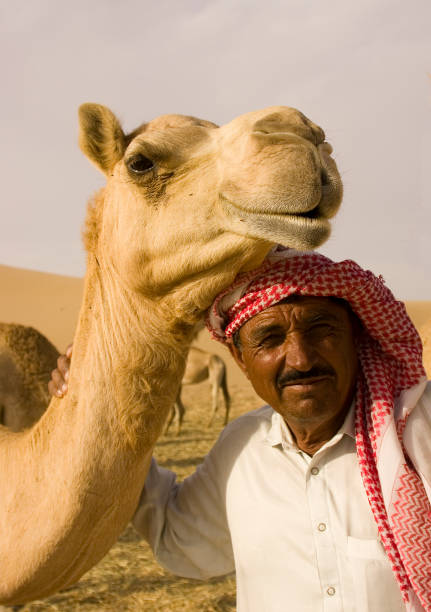 cammello e arabi uomo - united arab emirates middle eastern ethnicity men camel foto e immagini stock