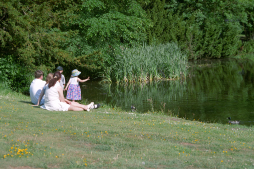 A family having a picnic by the duck pond on the grounds of Hedingham Castle near Sudbury, Essex, England.