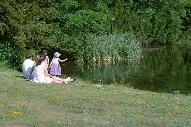 Family Picnic A family having a picnic by the duck pond on the grounds of Hedingham Castle near Sudbury, Essex, England. burton sussex stock pictures, royalty-free photos & images