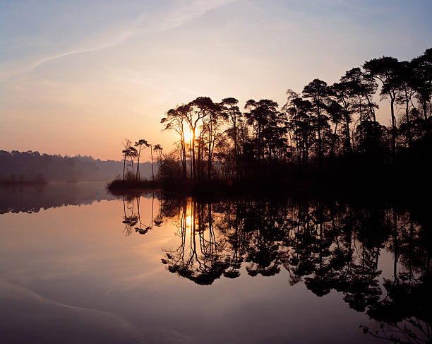 Sunset with reflection of the trees in Lake Esch. High-end scan of 6x7cm transparency.