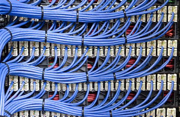 Blue Network Cables Blue network cables neatly channelled into their specified ports. fiber optic photos stock pictures, royalty-free photos & images