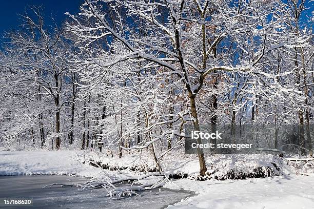 イリノイの冬のワンダーランド - イリノイ州のストックフォトや画像を多数ご用意 - イリノイ州, 雪, 冬